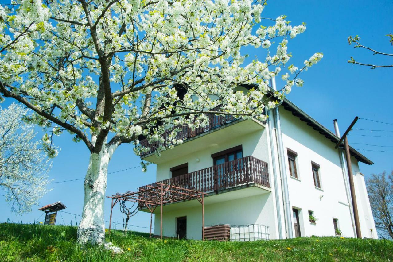 House Spehar Hotell Selište Drežničko Eksteriør bilde